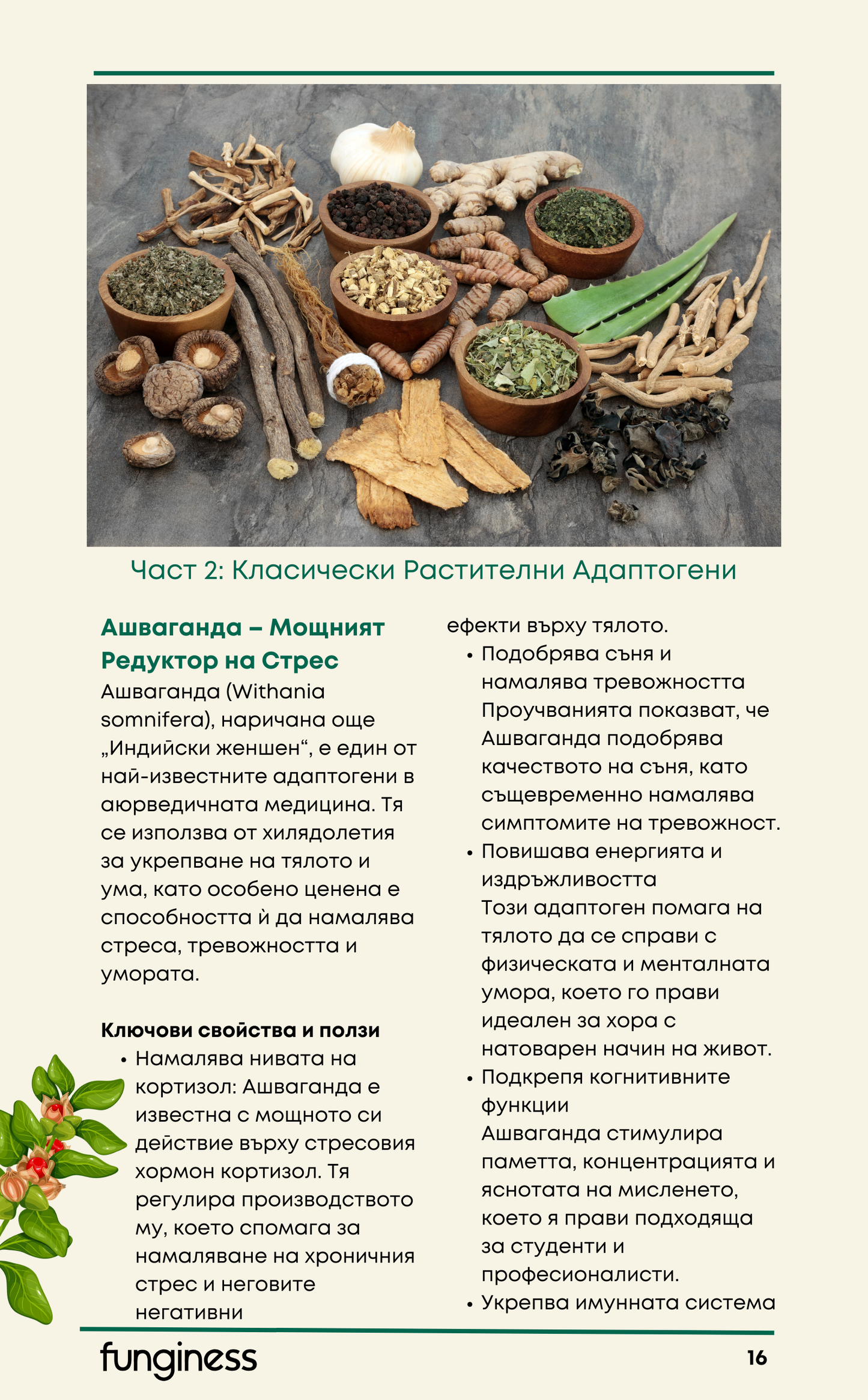 Електронна книга - 10 Адаптогена