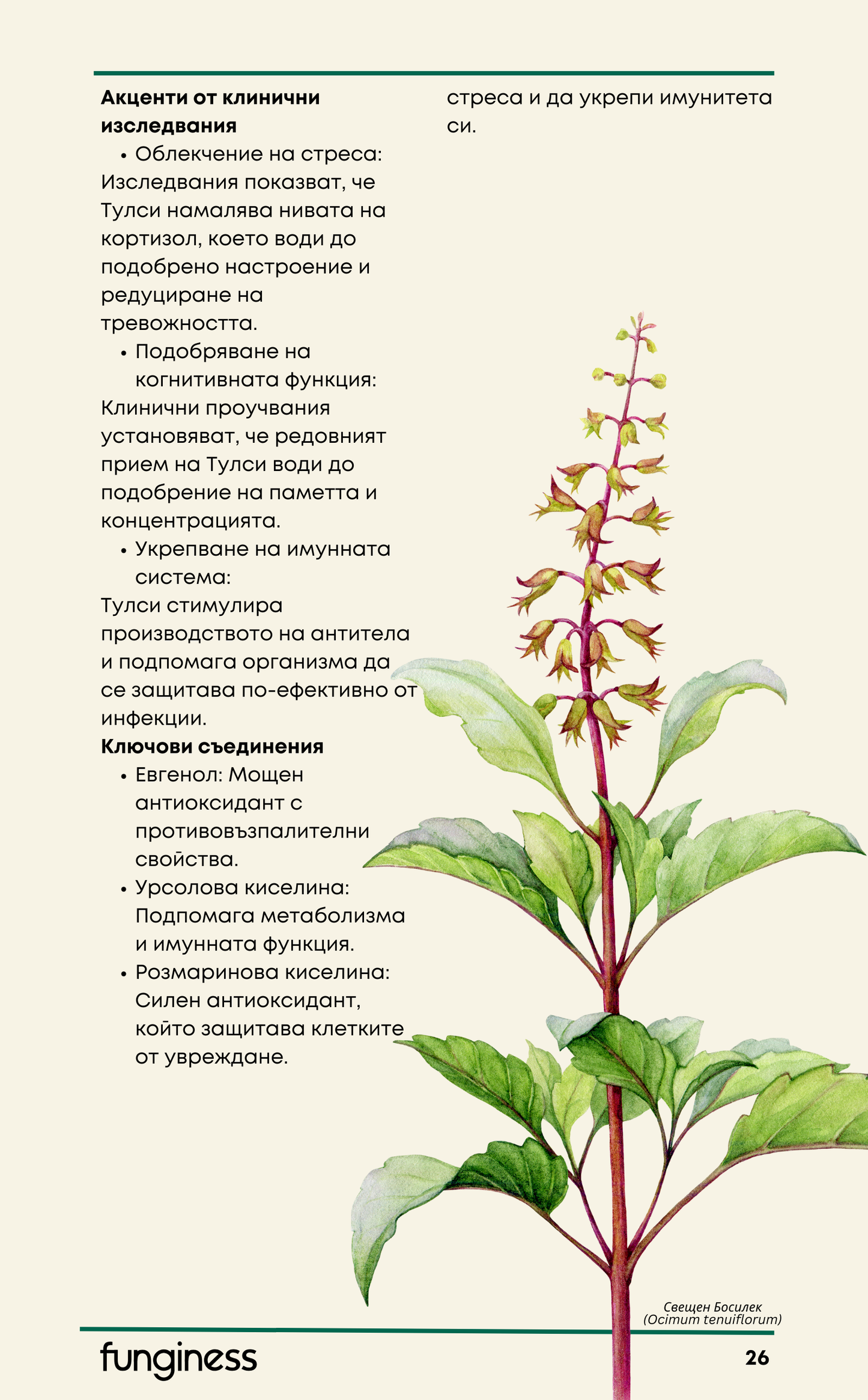 Електронна книга - 10 Адаптогена
