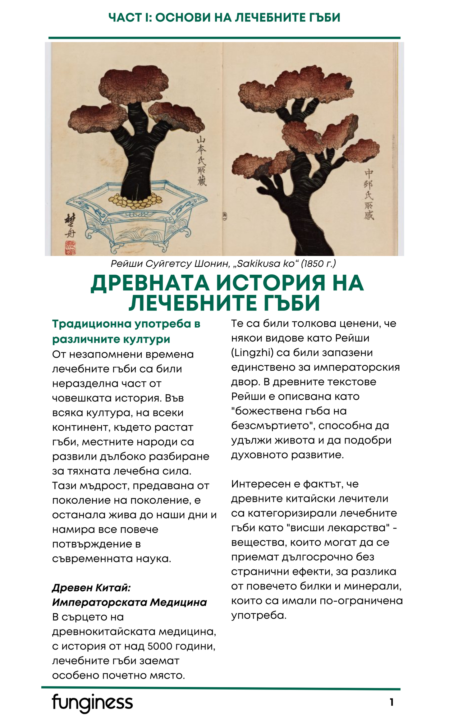 Електронна книга - Тайнате на лечебните гъби